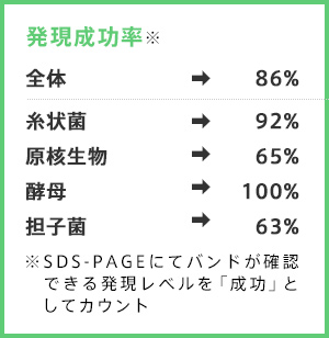 遺伝子組換えカイコ