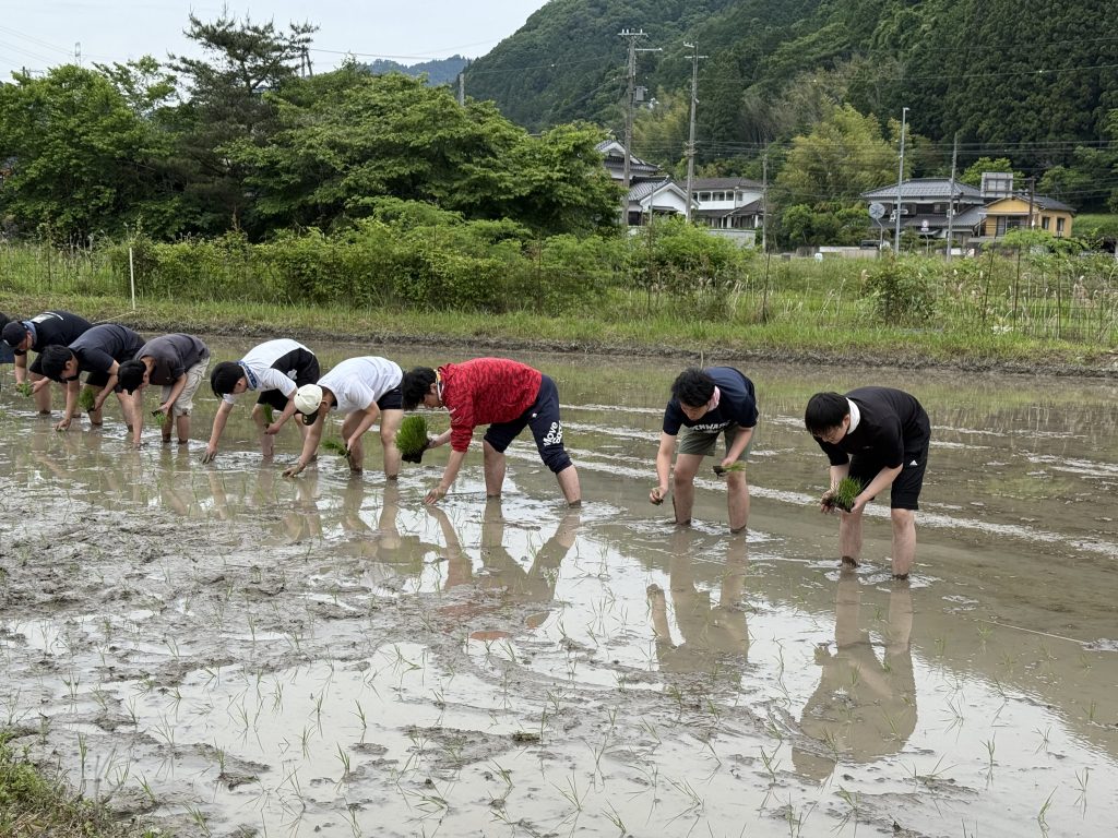 田植え・稲刈り研修